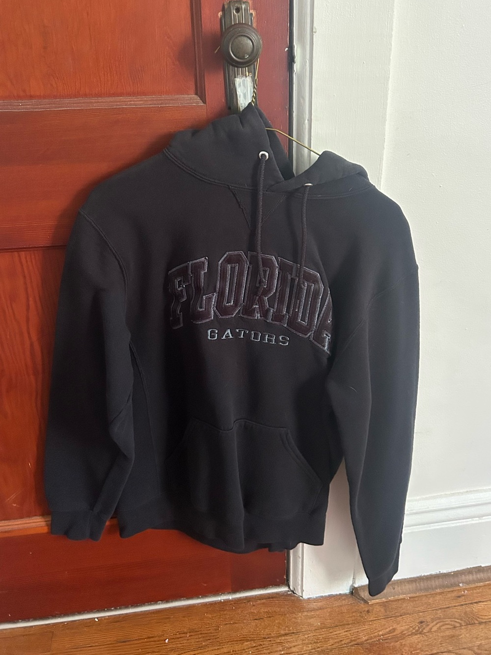 Florida Gators Black Pullover Hoodie - Men